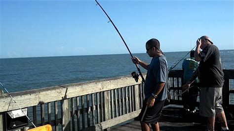 Tybee island stingray fishing - YouTube