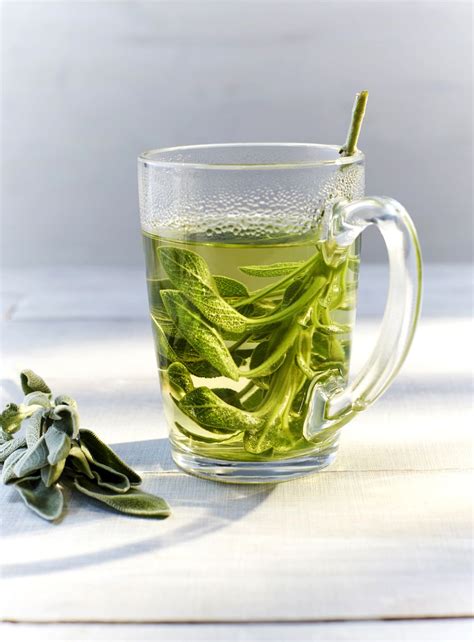 Sage Herbal Tea Recipe