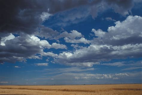 Cumulus clouds | Center for Science Education