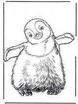 emperor penguin coloring Pages sketch template