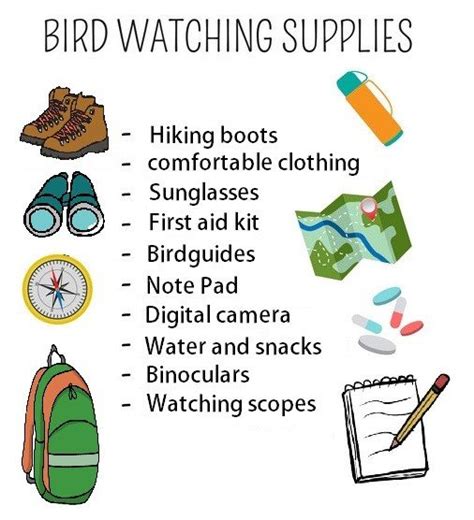 Getting started: what do you need for bird watching - Valrin