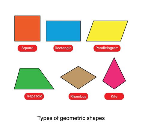 Types of geometric shapes quadrilateral shapes names vector ...