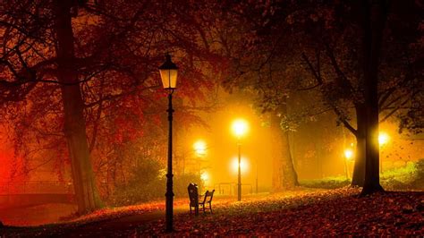 1080P free download | Warm lights in a park at night, lamps, bench ...