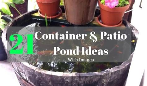 21 Container Pond Ideas | Patio Pond Ideas For Small Spaces – Fishkeeping Forever