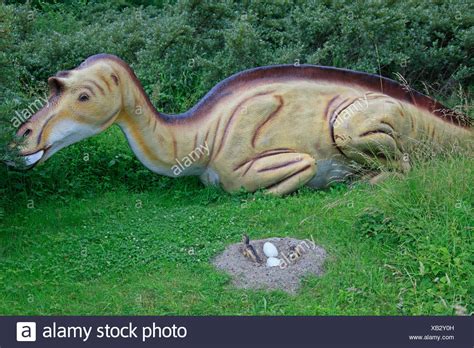 Anatosaurus High Resolution Stock Photography and Images - Alamy