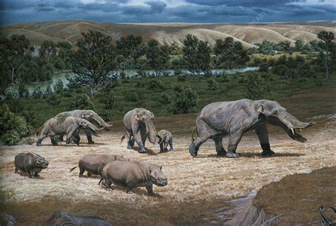 Pliocene Animals - Stock Image - C009/2148 - Science Photo Library