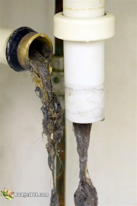 5 Common Clogged Drain Causes and How You Can Fix Them Quick