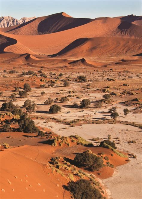 Namib Desert | Deserts of the world, Namib desert, Namibia