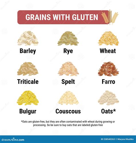 Gluten-free and Containing Gluten Grains Infographic. Healthy and Unhealthy Grains and Seeds by ...