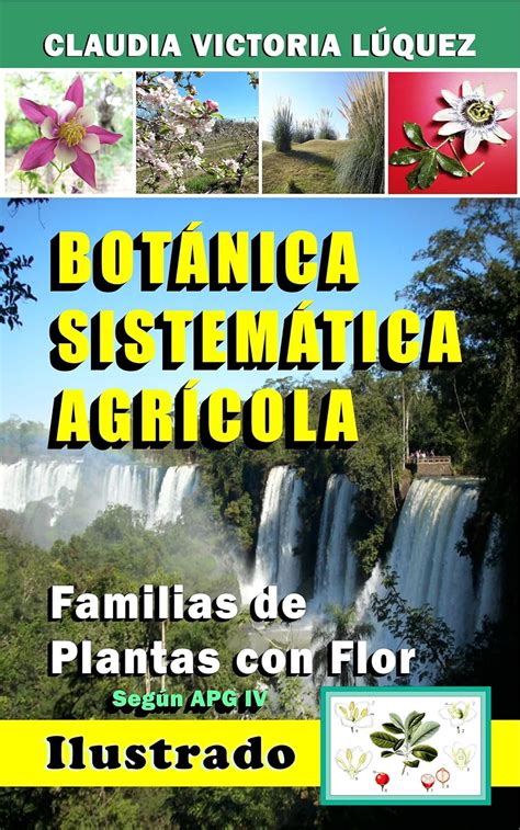 BOTÁNICA SISTEMÁTICA AGRÍCOLA. : FAMILIAS DE PLANTAS CON FLOR. Según APG IV. (BOTÁNICA ...