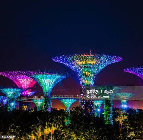 Singapore Night Garden Photos and Premium High Res Pictures - Getty Images