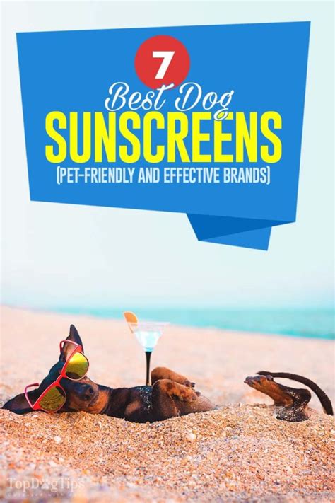 7 Best Dog Sunscreen Brands (Safest & Effective for Dogs)