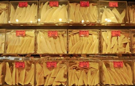 How Shark Fin Soup Is Driving Some Species To Extinction