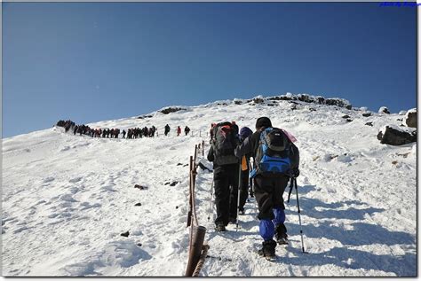 Pure white Hallasan Mountain in winter | Jeju island, Korea | Jeju island, Outdoor activities ...