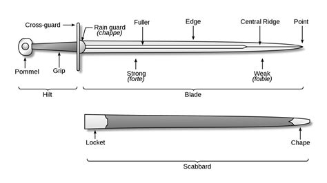 Medium Aevum — The Blade Forte — Lower third of the blade...