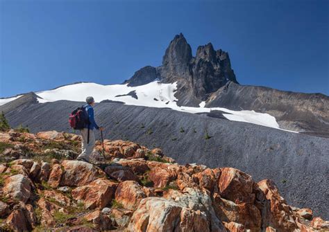 The Best Garibaldi Provincial Park Tours & Tickets 2021 - Whistler | Viator