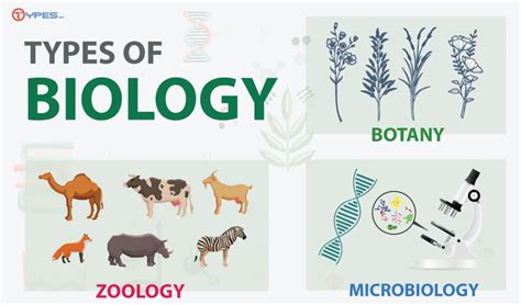 Types of Biology | Types