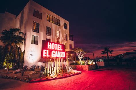 The Best Music And Art Hotel In Cabo? 5 Reasons To Love The Hotel El Ganzo