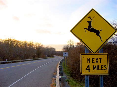 Deer Crossing Sign: What Does it Mean?