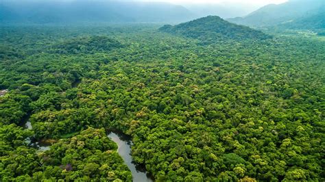 Del Amazonas colombiano al Orinoco