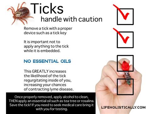 Using Essential oils to remove ticks and tick bites - Lifeholistically