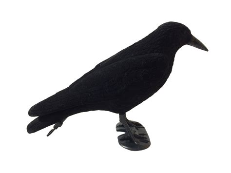 Flocked Crow Full Body Decoys - A1 Decoy