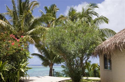 Palm Thatched Hut on a Tropical Beach Stock Photo - Image of cook ...