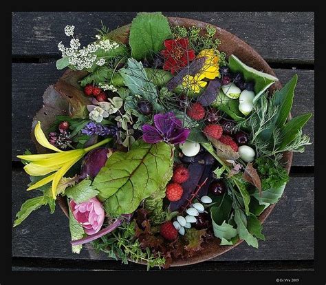 How to Make a Wild Salad | Recipe | Edible flowers, Edible wild plants, Flower food