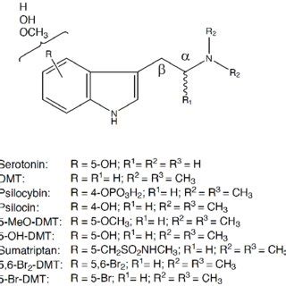 Tryptamine structure as template for new psychoactive compounds ...