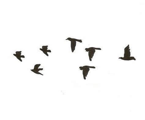 birds flying on Tumblr