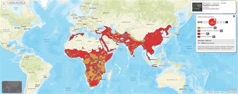 Mapping Endangered Species