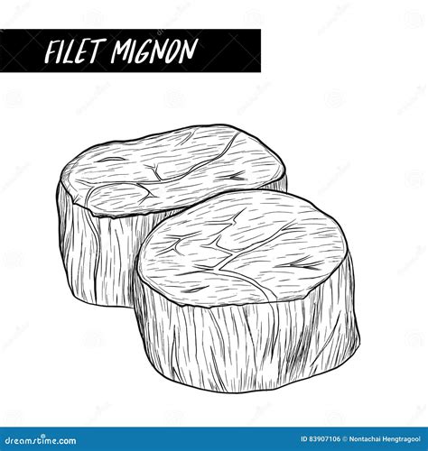 Filet Mignon Steak Cut Vector Isolated On Chalkboard Background ...