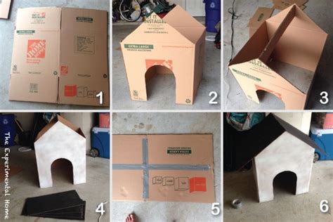 21+ How To Make A Dog House From Cardboard Box Pictures - Top 999 Best ...