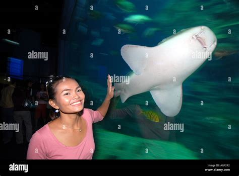 Ocean World Aquarium. Siam Paragon Shopping Centre. Bangkok. Thailand Stock Photo - Alamy