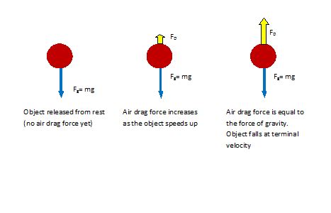 What is Terminal Velocity? - Definition, Formula, Calculation ...