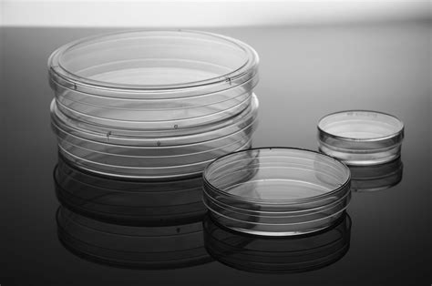 Cell Culture Dishes - Lab Sciences