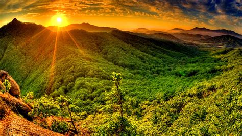 Sunbeam Full HD Wallpaper and Background Image | 1920x1080 | ID:398624