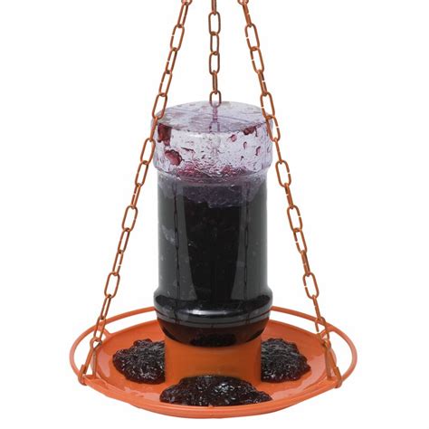 Perky Pet Oriole Jelly Hummingbird Feeder & Reviews | Wayfair