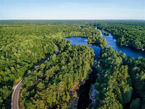 5 Types of Forests in Ontario - NatureNibble