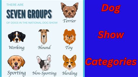 Unveiling the World of Dog Show Competition Categories. - Critterparadise - Medium