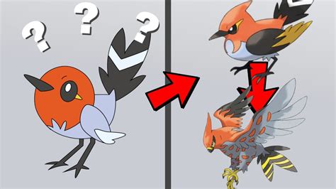 Fletchling Evolution Chart