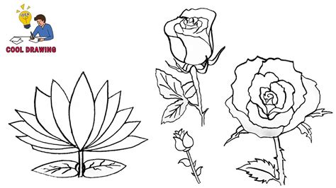 How To Draw Flower Line Drawing | Best Flower Site