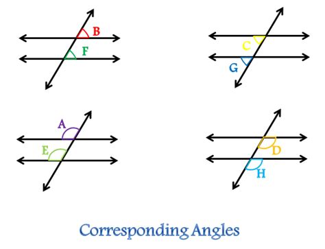 Transversal | Definition, Angle & Examples - Lesson | Study.com