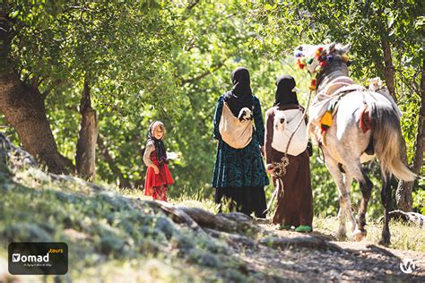 An Epic Journey to the World of Ancient Nomads - IRAN Nomad Tours