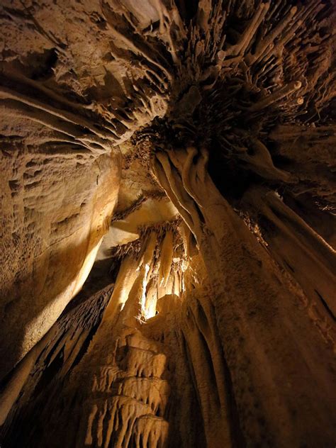 Ceiling formations: Lehman Caves, Great Basin National Park, Nevada