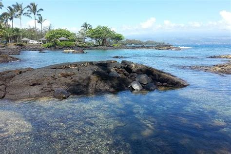 Tripadvisor | Hawaii Volcanoes National Park Full-Day Tour from Kona ...