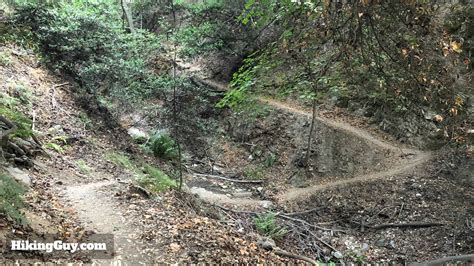 Mt Wilson Trail Hike – HikingGuy.com