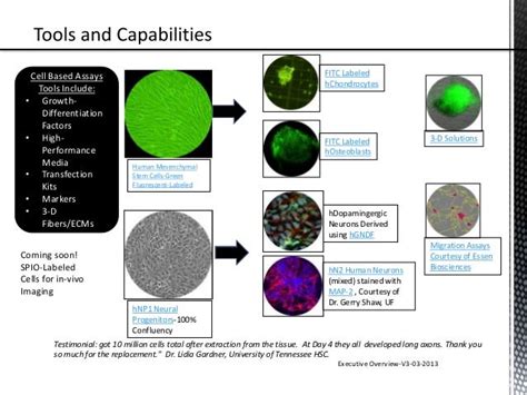 Cell based assays presentation v3_03_2012