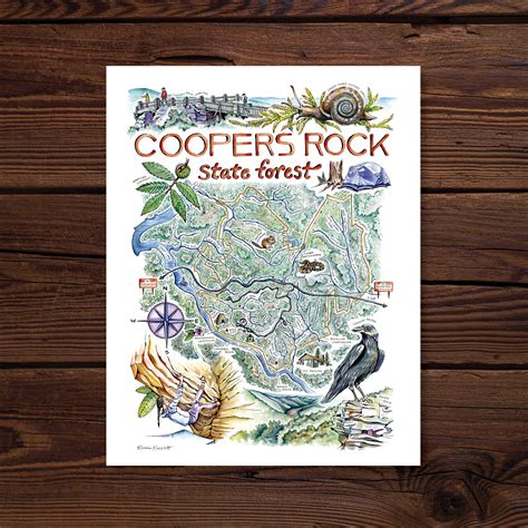 Illustrated Ecology Maps – Rosalie Haizlett Illustration