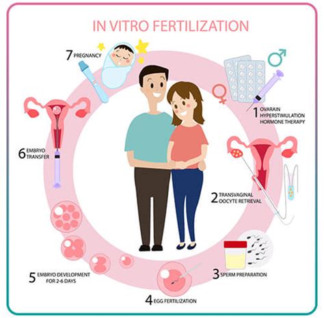 What is IVF ? | IVF: Procedure & How It Works | HayatMedTour